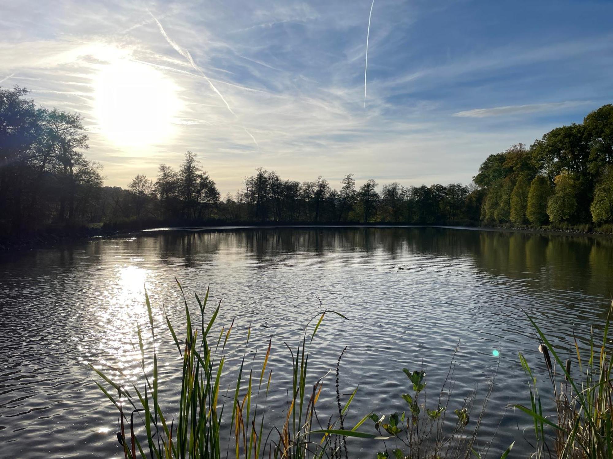Naturnahe Unterkunft In Der Burgenstadt Шлиц Экстерьер фото